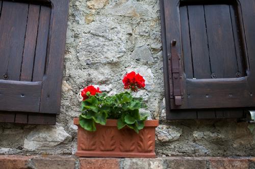 Le Capanne00174